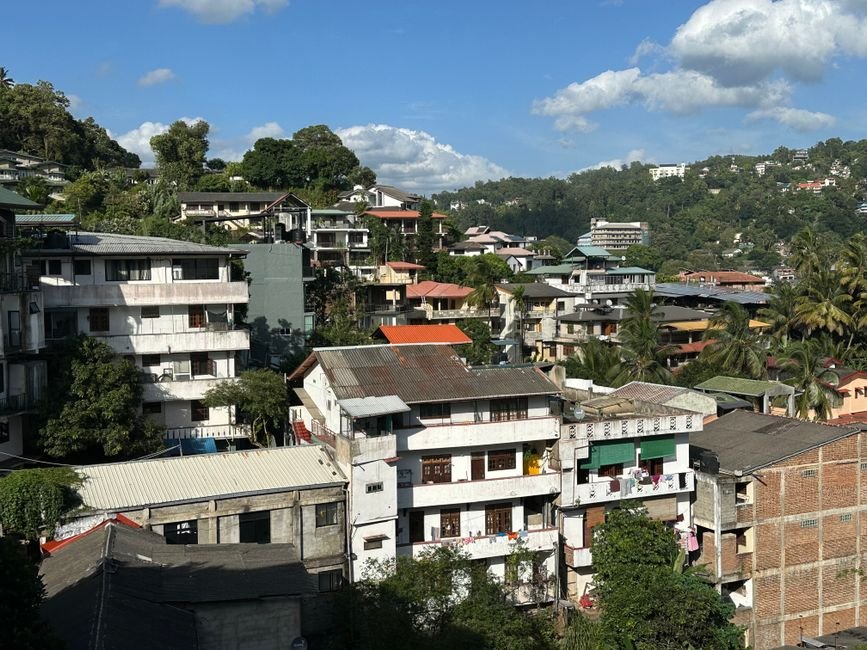 How to Open a Dollar Store in Kandy, Sri Lanka — Photo by Shifna Captures on Pexels